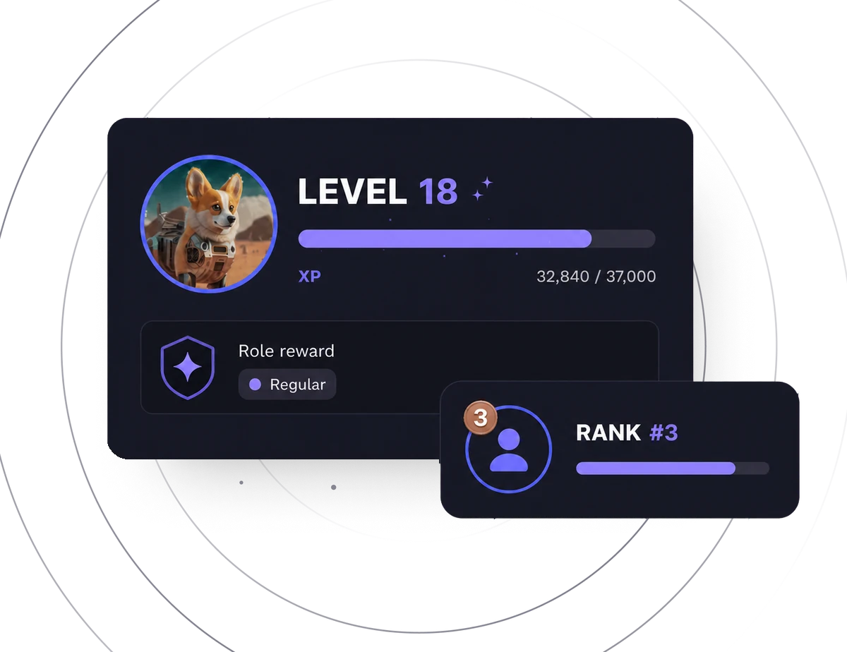 ErensiBOT Discord leveling system with XP progress, role rewards, and leaderboard rank